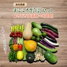 南国高知より まごころ野菜セット【よりどり】
