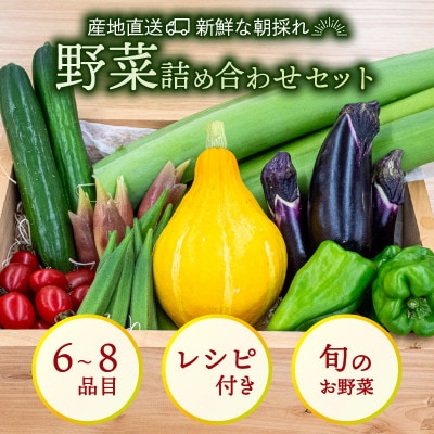 新鮮な朝採れ 野菜 セット 6 ～ 8品目 詰め合わせ レシピ 付き 産地直送 高知県 須崎市