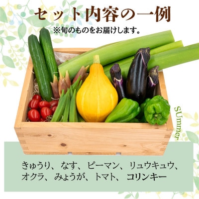 新鮮な朝採れ 野菜 セット 6 ～ 8品目 詰め合わせ レシピ 付き 産地直送 高知県 須崎市