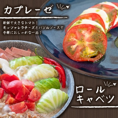 新鮮な朝採れ 野菜 セット 6 ～ 8品目 詰め合わせ レシピ 付き 産地直送 高知県 須崎市