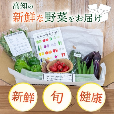 新鮮な朝採れ 野菜 セット 6 ～ 8品目 詰め合わせ レシピ 付き 産地直送 高知県 須崎市