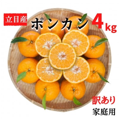 【南国高知からの贈り物】立目産 ポンカン 家庭用 【訳あり】 4kg