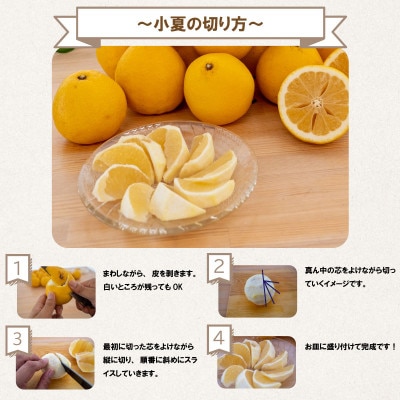 さよさよ　秀品まどんな4kg ＋南柑20号サイズ混合4.5kgぐるりん 中早生・南柑20号 家庭用4kg｜大三島しまなみ農園