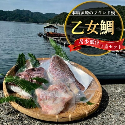 真鯛 希少部位 カマ 頭 フィーレ 3点セット 本場須崎のブランド鯛 乙女鯛 【 冷凍 】