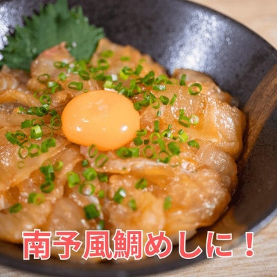 真鯛 希少部位 カマ 頭 フィーレ 3点セット 本場須崎のブランド鯛 乙女鯛 【 冷凍 】