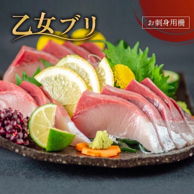 乙女 ブリ 800~1000g お刺身用 柵
