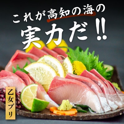 乙女 ブリ 800~1000g お刺身用 柵