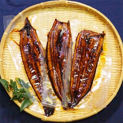 訳あり うなぎ蒲焼500g お礼品詳細 ふるさと納税なら さとふる