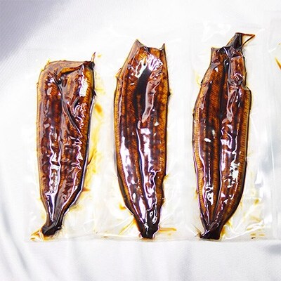 訳あり うなぎ蒲焼500g お礼品詳細 ふるさと納税なら さとふる