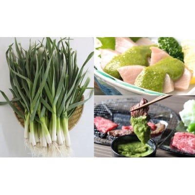 葉にんにくぬた和風2種(さっぱり、コク)土佐のご当地調味料