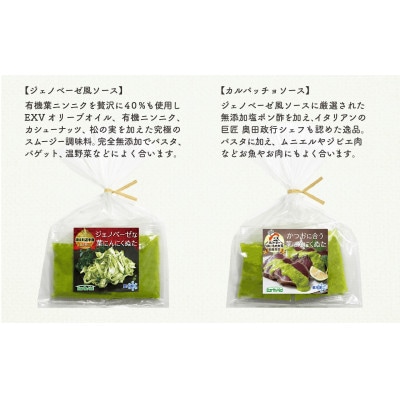 葉にんにくぬた洋風2種(ジェノベーゼ、カルパッチョ) 土佐のご当地調味料