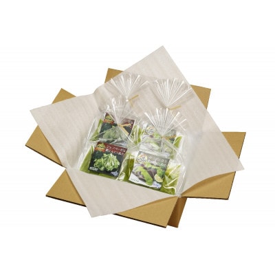 葉にんにくぬた洋風2種(ジェノベーゼ、カルパッチョ) 土佐のご当地調味料