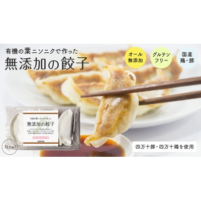 葉ニンニクと四万十豚で作った餃子(8パック8人前)【添加物不使用】