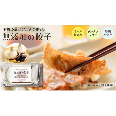 黒ニンニクと四万十豚で作った餃子(4パック4人前)【添加物不使用】