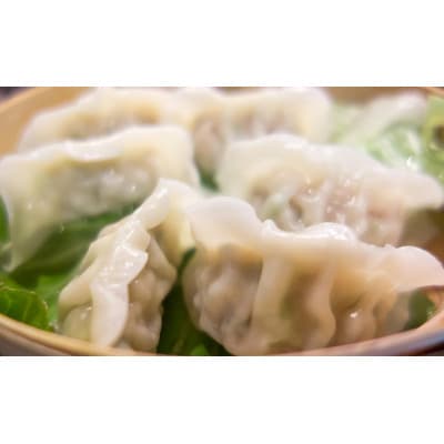 黒ニンニクと四万十豚で作った餃子(4パック4人前)【添加物不使用】