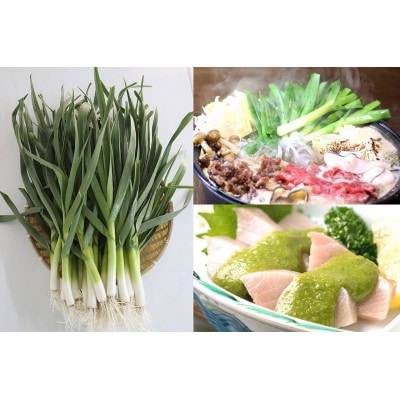 高知県産 冷凍オーガニック葉ニンニク150g×35袋(有機JAS認証品)