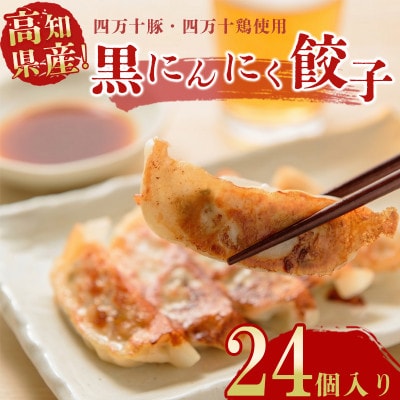 黒にんにくと四万十豚で作った最高級餃子(6個入り×4パック)
