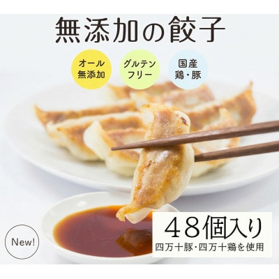 葉にんにくと四万十豚で作った最高級餃子(6個入り×8パック)