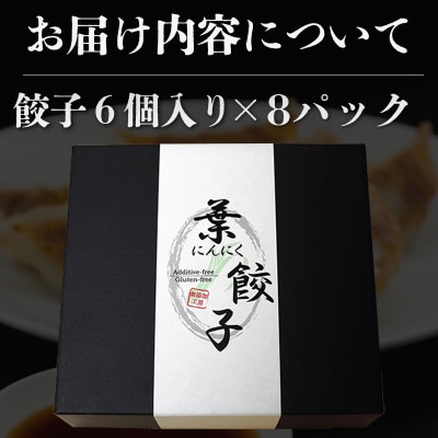 葉にんにくと四万十豚で作った最高級餃子(6個入り×8パック)