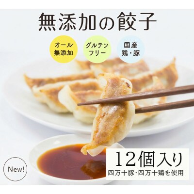 葉にんにくと四万十豚で作った最高級餃子(6個入り×2パック)