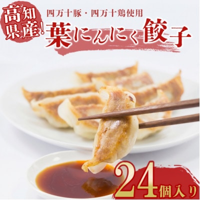葉にんにくと四万十豚で作った最高級餃子(6個入り×4パック)