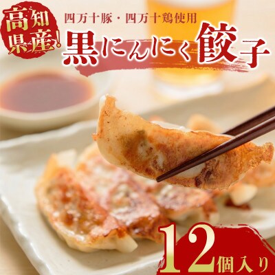 黒にんにくと四万十豚で作った最高級餃子(6個入り×2パック)