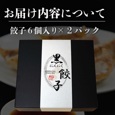 黒にんにくと四万十豚で作った最高級餃子(6個入り×2パック)