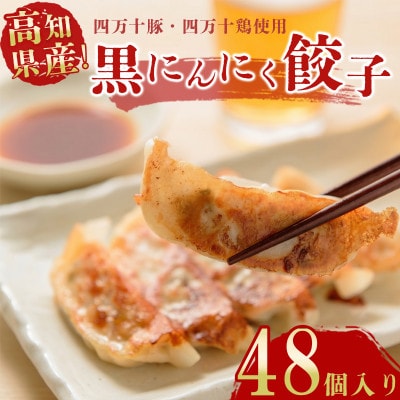 黒にんにくと四万十豚で作った最高級餃子(6個入り×8パック)