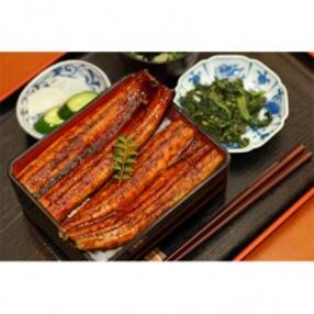 須崎市 入善町のお礼品 返礼品一覧 ふるさと納税サイト さとふる