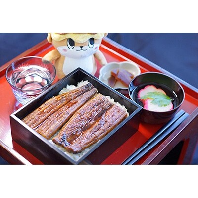 高知県産 うなぎ蒲焼き 10尾セット (100~120g)