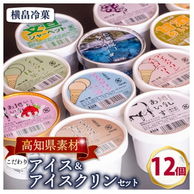 高知名物　アイスクリンとふるさとの味アイス12個セット