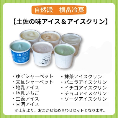 高知名物　アイスクリンとふるさとの味アイス12個セット