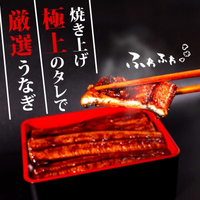 高知県産 うなぎ蒲焼き 10尾セット (100～120g)
