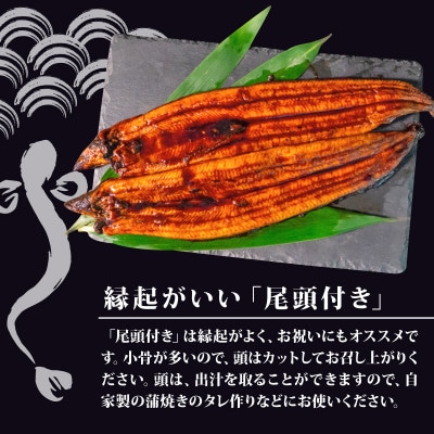 高知県産 大サイズうなぎ蒲焼き220g 3尾セット