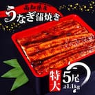 高知県産 特大うなぎ蒲焼き220g 5尾セット