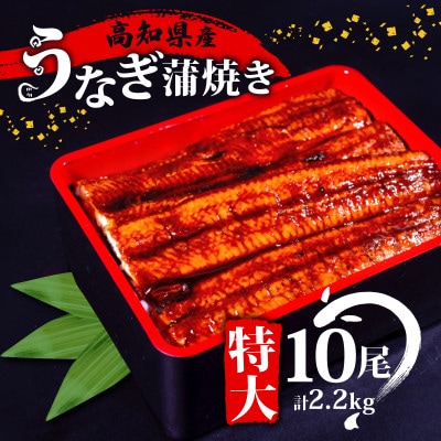 高知県産 大サイズうなぎ蒲焼き220g 10尾セット