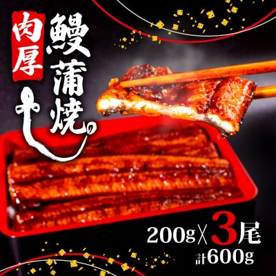 蒲焼うなぎ600g(200g×3尾)セット