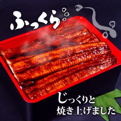 蒲焼うなぎ600g(200g×3尾)セット