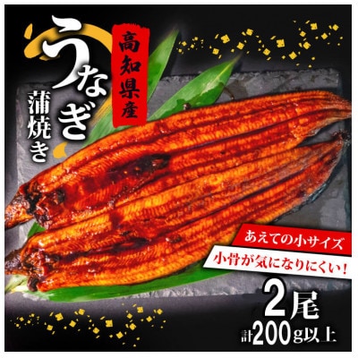 高知県産 うなぎ蒲焼き 2尾セット (100～120g)