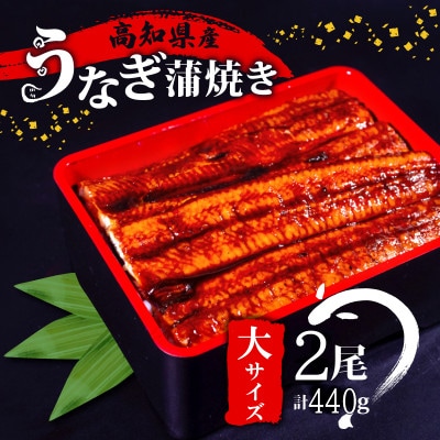 高知県産 大サイズうなぎ蒲焼き220g 2尾セット(タレ15ml×2本付き)