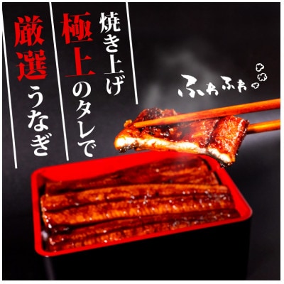 高知県産 大サイズうなぎ蒲焼き220g 2尾セット(タレ15ml×2本付き)