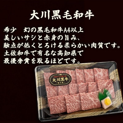 大川黒毛和牛ロース 300gと土佐はちきん地鶏 胸肉・モモ肉 各1枚 セット