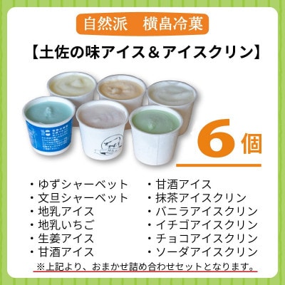 高知名物　アイスクリンとふるさとの味アイス6個セット