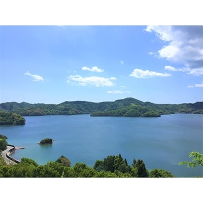 高知初夏の味　小夏5kg