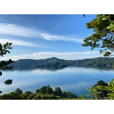 高知県浦ノ内産　ポンカン【訳あり】ご家庭用5kg(30～35個入り)