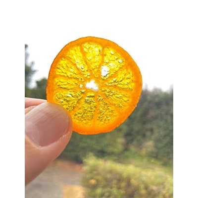 高知県浦ノ内産　ポンカン5kg(30～35個入り)