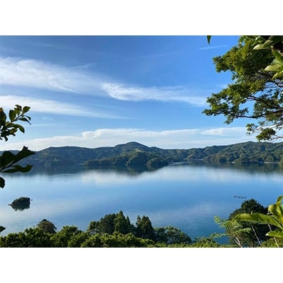 高知県浦ノ内産　ポンカン5kg(30～35個入り)