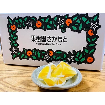 高知県特産土佐小夏　贈答用5kg(35～40個入り)