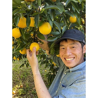 高知県特産土佐小夏　【訳あり】ご家庭用5kg(35～40個入り)