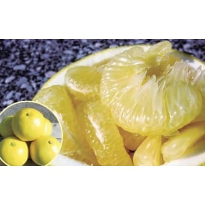 秀品 土佐文旦5kg